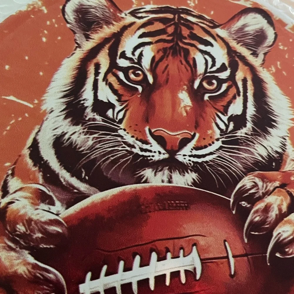 Tiger Football Wall Art‎ - Orange and White. NWOT